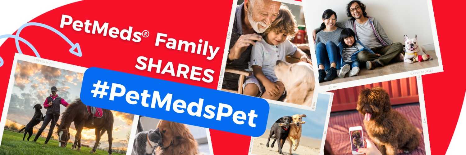 PetMeds