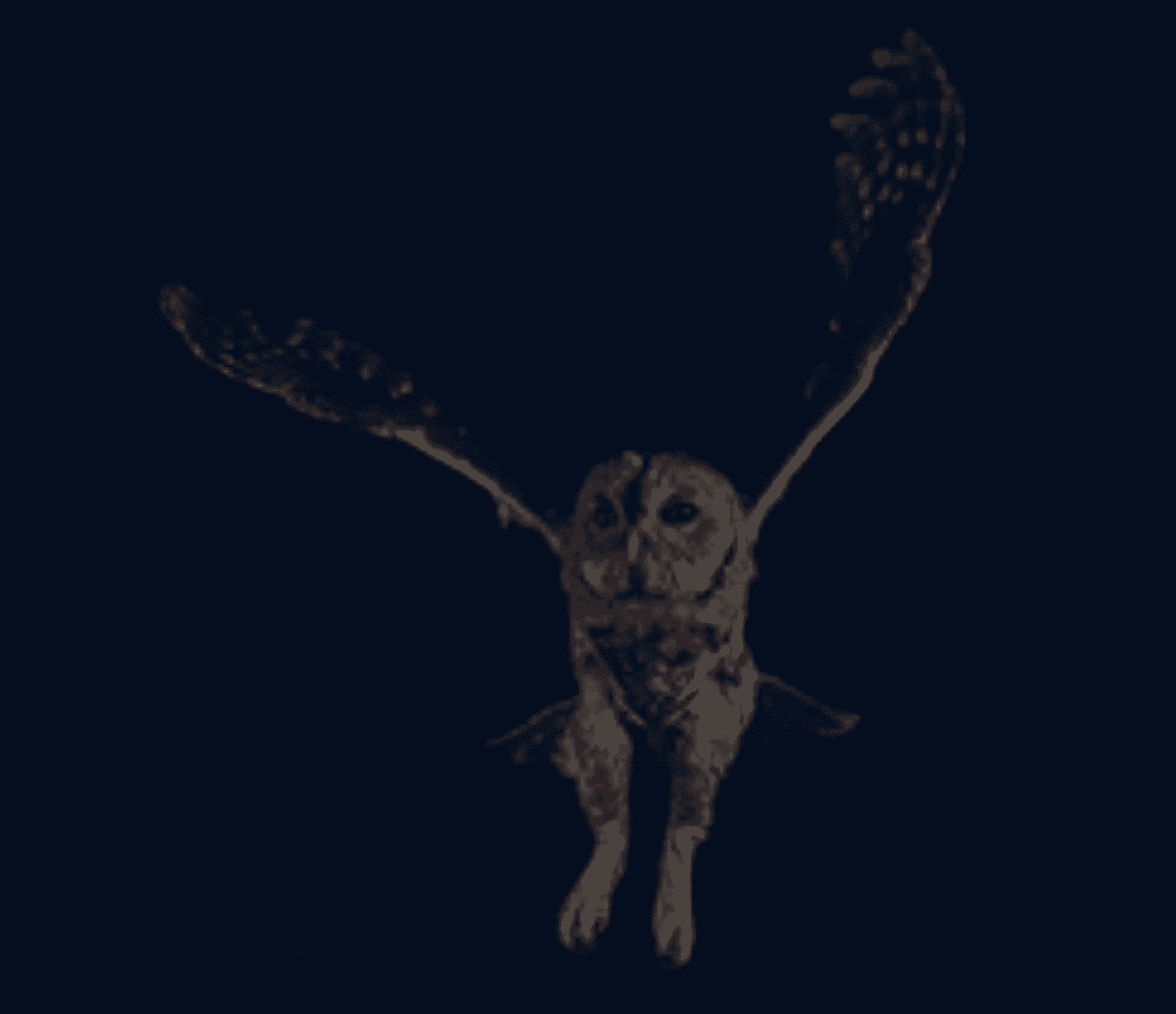 DarkOwl